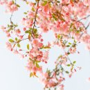 백년 / 문태준 『뉴스티앤티/詩의 四季』 이미지