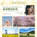 한라봉관광 이미지