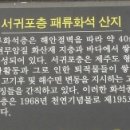 서귀동-19 이미지