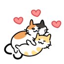 모여봐요 고양이 카페 이미지