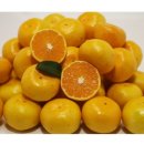 동아사료주식회사 이미지