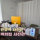 안양역(앞) 버스정류장 | 안양역 사진관, 까치집 스튜디오 솔직후기