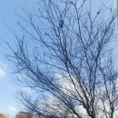 연필그림초급 이미지