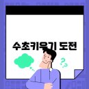 예쁜걸음