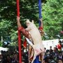 작두산성 이미지