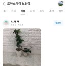 스테이하하하 이미지
