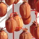 자풍농장 이미지