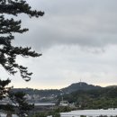 호텔서귀피안 | 제주 서귀포 오션뷰 호텔 추천 호텔서귀피안 숙박 후기
