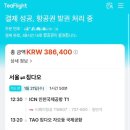 Tea flight 티플라이트 항공권 결제 및 발권 후기