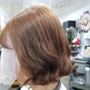리오헤어 이미지