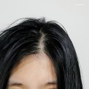 황제 공진보단 이미지