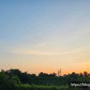 스타벅스 파주문산DT점 이미지