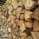 마인저 하우스 이미지