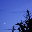 게으른 반달 이미지