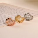 메종드로즈 이미지