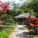 백운동 정원 이미지