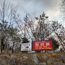 홍천 보리울캠핑장 후기