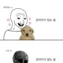 모도