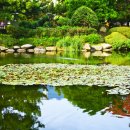 무궁화경남 이미지