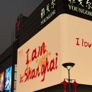 동방마트 | 상하이 레이오버 여행! 중국동방항공 기내식, 홍쿠이지아, 동방명주 스냅 꿀팁, 팝마트,중티다스