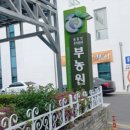 부농원 이미지