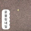윤블링네일