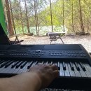 섞인듯한 연주 ㅎㅎ 이미지