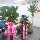 랜드고도람공인중개사사무소 | 랜드고 중개법인 부산센터 개업식 현장