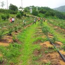 진철농장 이미지