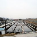 소양강양어장 이미지