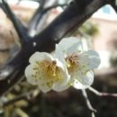 서로 이미지