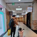 노벨전자 | 소노벨단양(WEST동 패밀리 클린형/스탠다드/더블침대)숙소후기 ft.31갤아기랑