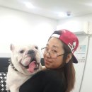 유후네일 이미지
