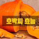 호박씨