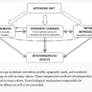 Re:Re:Keto microbiota: A powerful contributor to host disease recovery 이미지