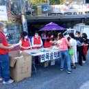우리강산여행사 이미지