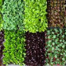 홍천시장 이미지