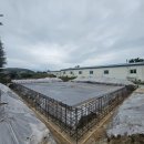 신당동 근린생활시설 및 오피스텔 신축공사 | 춘천 기초공사업체, 우두동 근린생활시설 50평 신축 기초공사 현장 후기