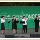 로즈마리숲 이미지