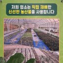 팔봉산꺼먹돼지