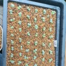 부산대학병원 이미지