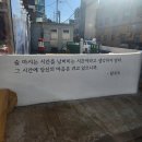 신방화역 | 빙그레식당 신방화역 맛집 냉삼 홍어무침 세트 식사후기