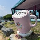 논골담길2 | 묵호 논골담길 후기｜벽화골목 말똥도나스 소품샵까지