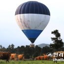 비앤에프스포츠 이미지