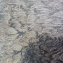 인터메리 이미지