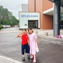 리섬 | 덕산 리솜 스플라스 워터파크 할인 식당 즐기기 성공 꿀팁