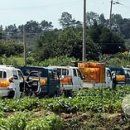 충북원예농협가공공장 이미지