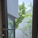 중정독채