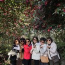 제주도가 | 제주도 스타리아 투어 대여 기사포함으로 운전 걱정 없이 즐긴 제주 여행