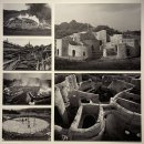 다원케미칼 | [모리미술관] Our Ecology: Toward a Planetary Living